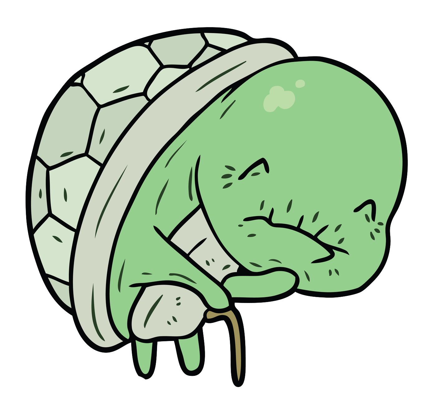 dreamstime_m_150425161 Turtle icon